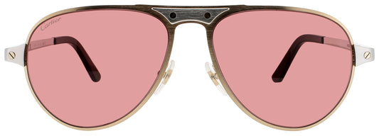 Cartier: CT0533S 004