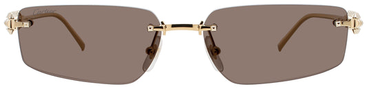 Cartier: CT0544S 002