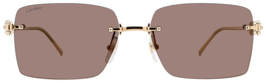 Cartier: CT0545S 003