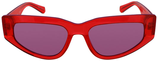 Calvin Klein Jeans: CKJ CKJ23603S 600